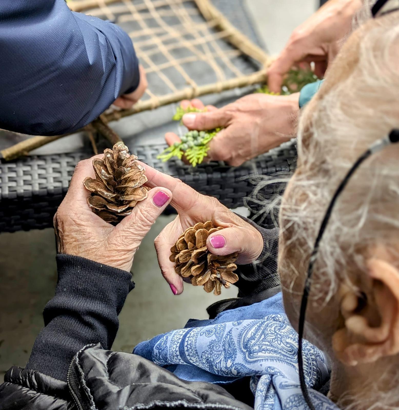 Hortiterapia banner 4