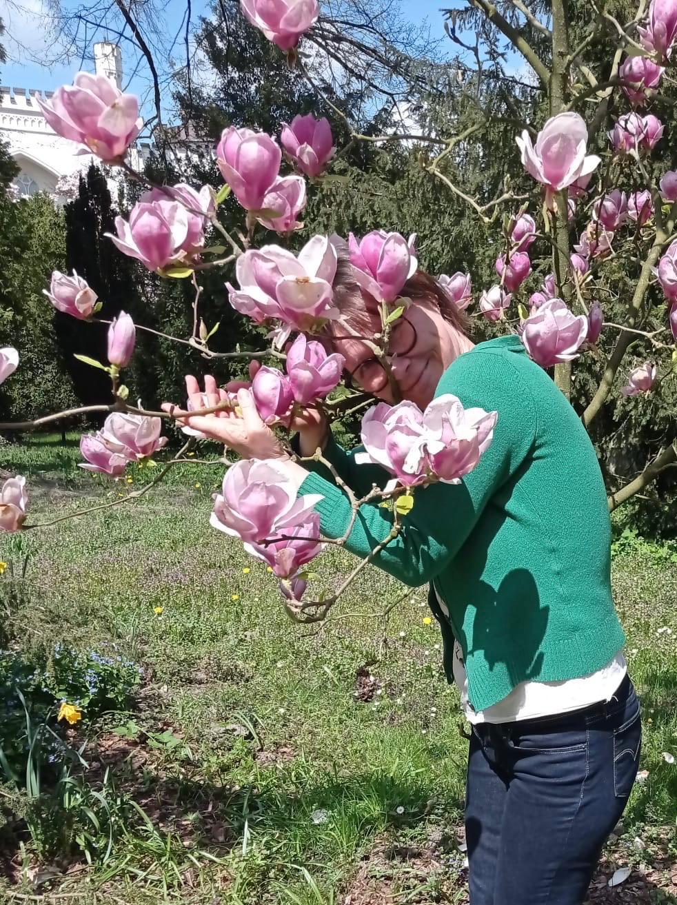 Hortiterapia banner 5