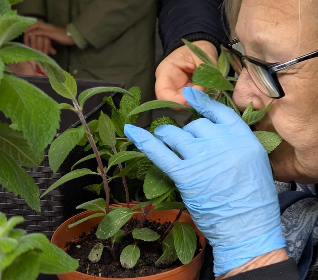 Hortiterapia banner 8