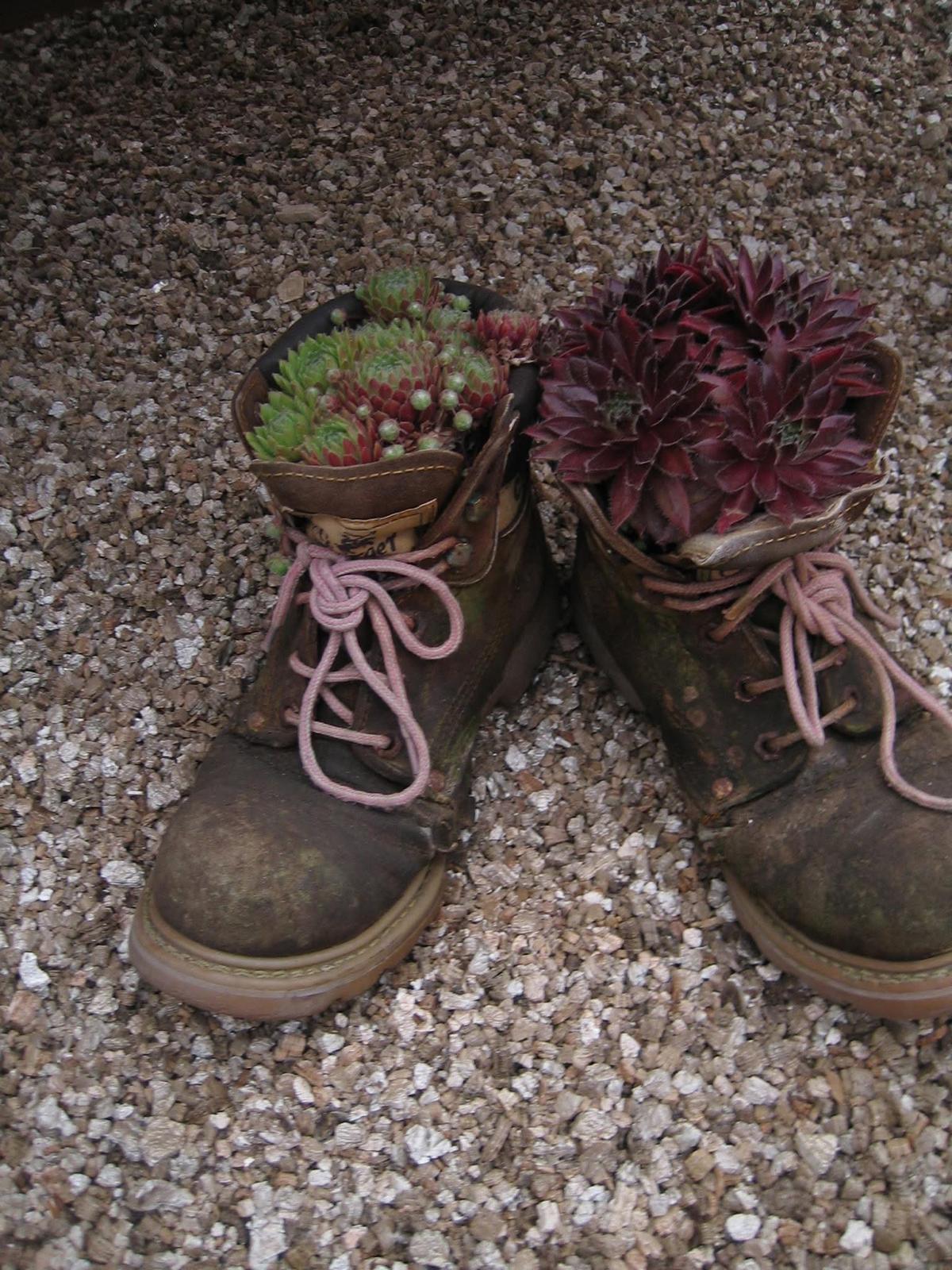 Psychologia środowiskowa jako fundament hortiterapii